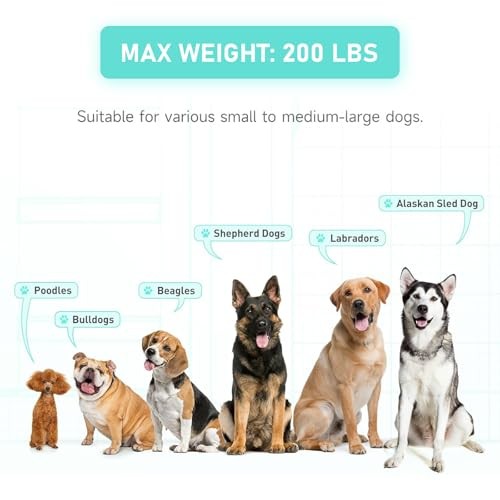 Inflatable Large Dog Water Ramp Float Floating Ramp-Swimming Pets Up 200 pounds gallery