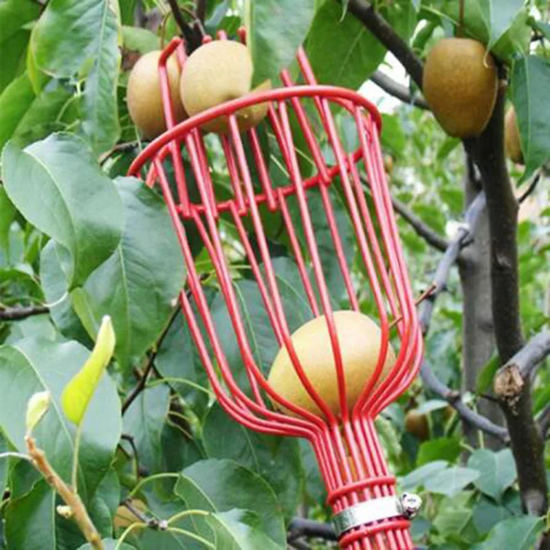 Practical Fruit Picker & Catcher - Convenient Gardening ToolPractical Fruit Pick gallery