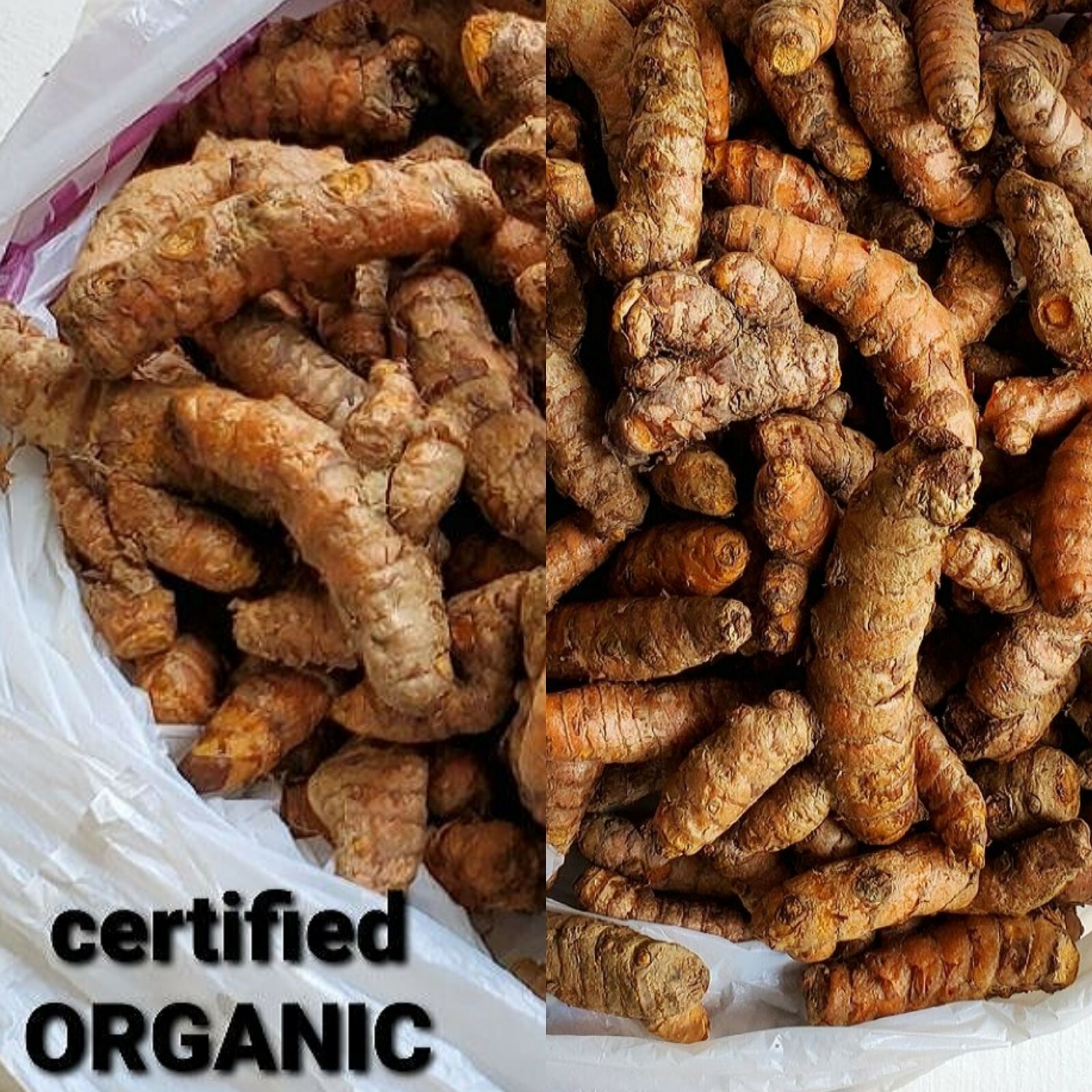 Fresh Turmeric Roots USDA certified Organic 8oz. for Arthritis, FREE SHIPPING gallery