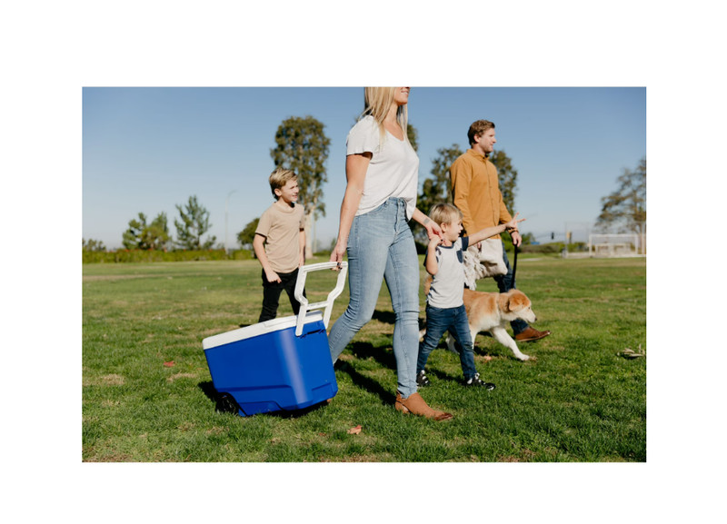 Igloo Wheelie Cool 38 QT Hard Sided Cooler with Wheels, Blue gallery