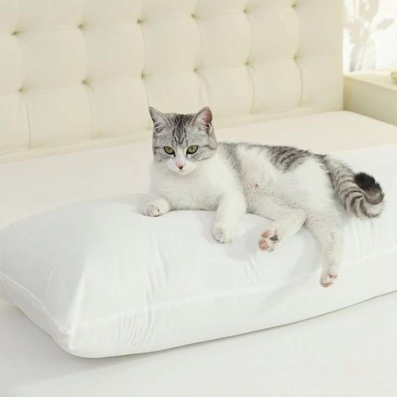 Memory Foam Body Pillow Insert, Soft Large Full-Length Bed Pillow for Adults gallery