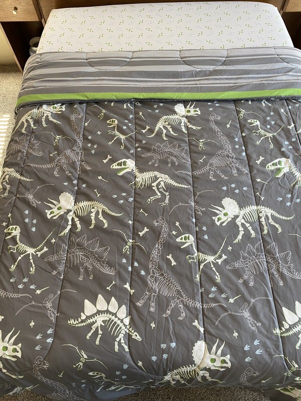 Dinosaur Reversible 9 Piece Full Size Bedding Set with Shams gallery