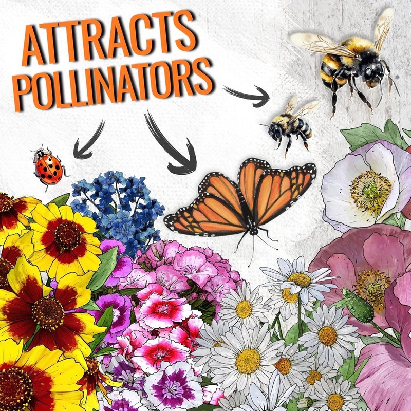 Vibrant Partial Shade Wildflower Seed Mix | 1 Oz, Attracts Butterflies, 14+ V... gallery