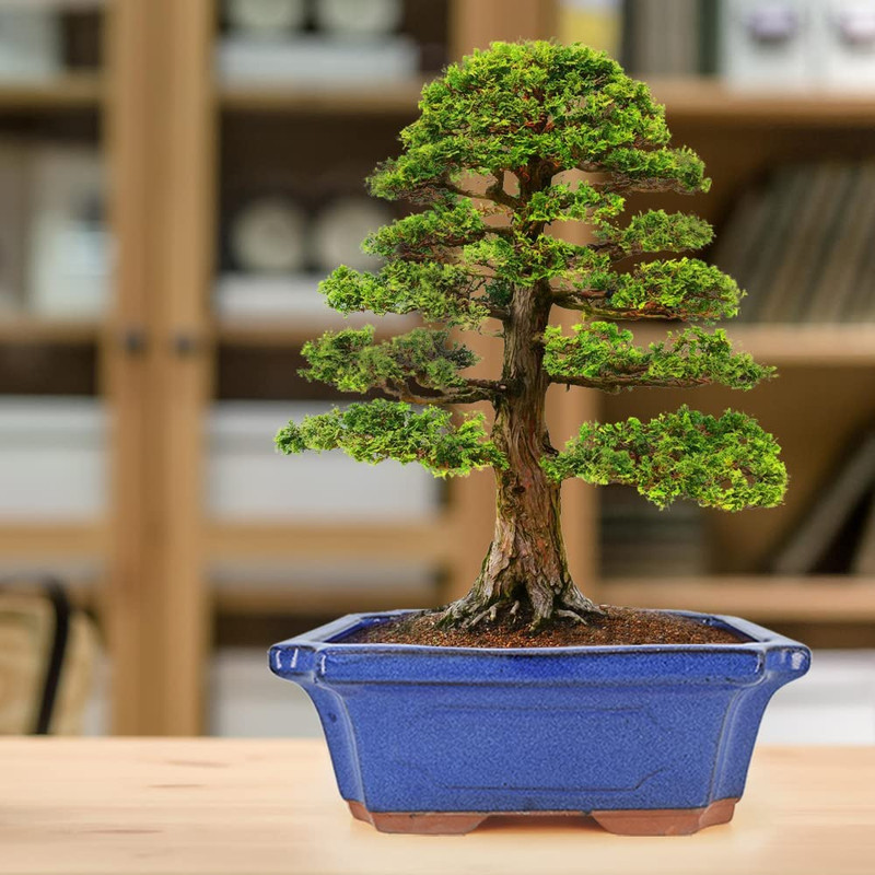 3 Pack Ceramic Rectangular Bonsai Tree Planter Pot Set 6”+7”+9”, Cactus Succulen gallery