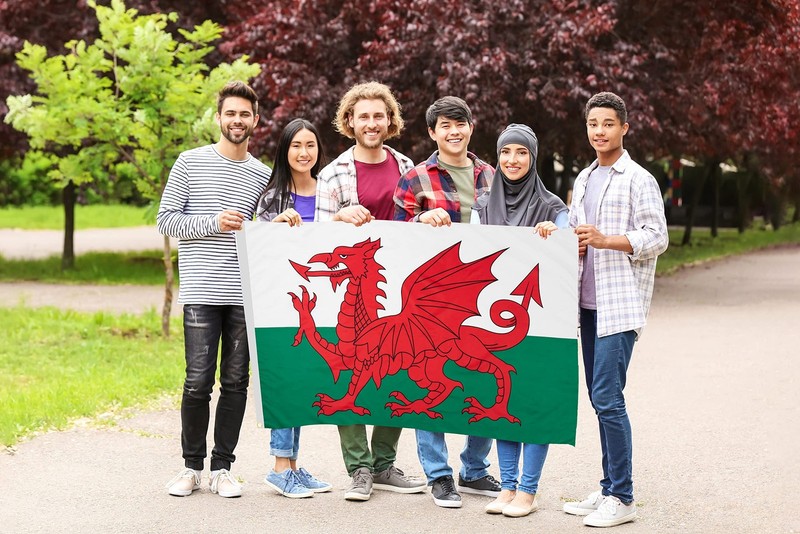 DANF Wales Flag 3x5 Ft Thick Polyester, Fade Resistant, Brass Grommets, Canvas H gallery