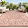 Boho Medallion Indoor Outdoor Area Rug 4X6 Red/Taupe, Malta Textured Weave fo... gallery