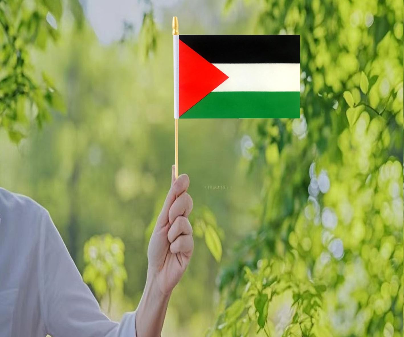 10 Pack Palestine Flags - PSE Handheld Flag-Desktop Flag-5x8 In, Palestinian ... gallery