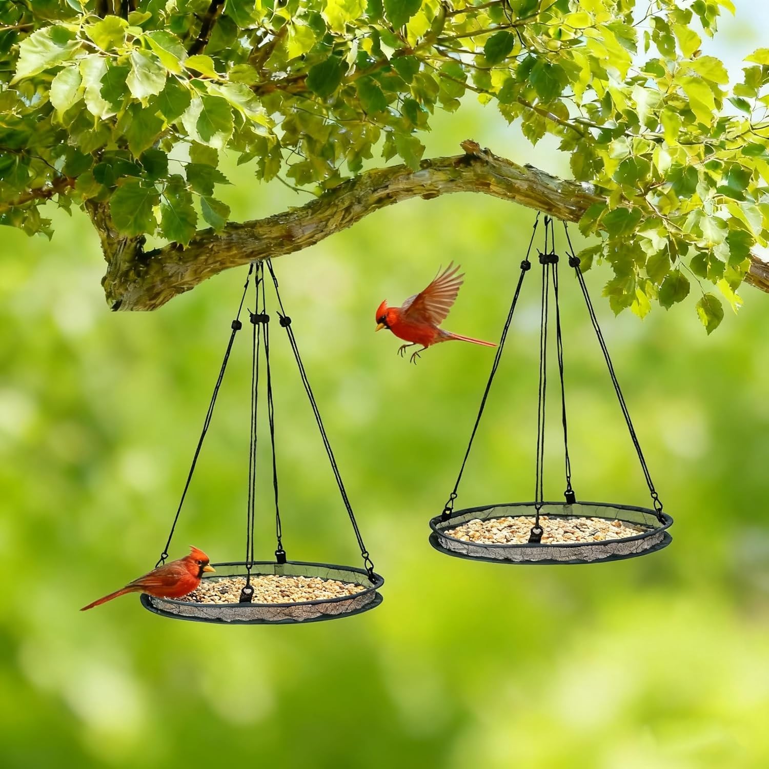 2 Pack Wild Bird Seed Catcher Hanging Hoop Platform Under Feeder Tray gallery