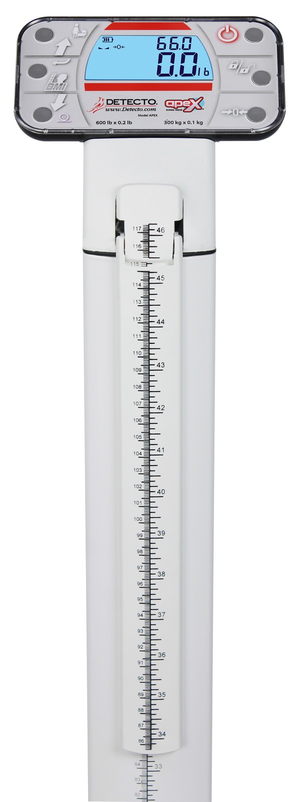 Detecto APEX Digital Physicial Scale w/ Height Rod 600 lb x 0.2 lb, 24" to 87.5" gallery