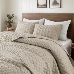 Beige Quilt Queen Size Bedding Sets with Pillow Shams, Lightweight Soft Bedsp…