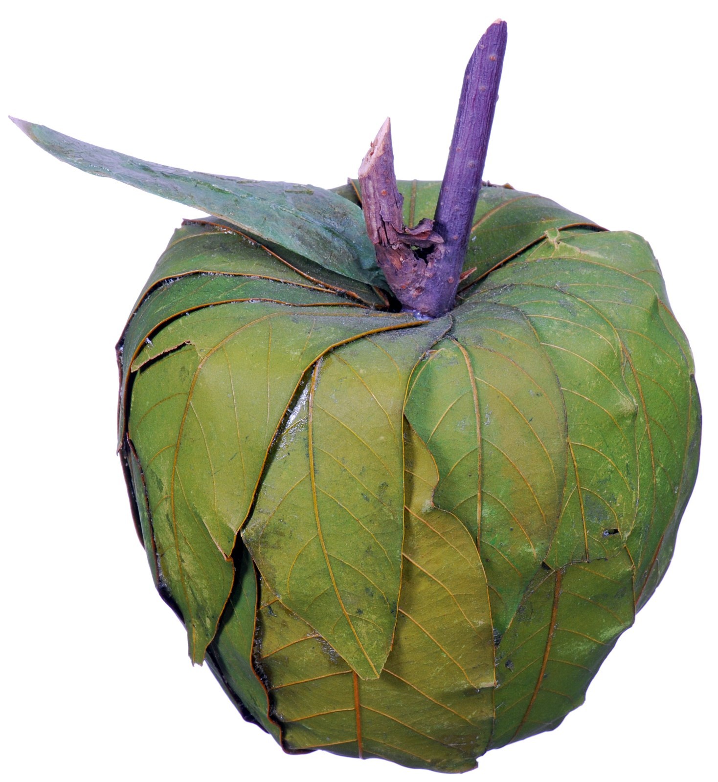 Leaf Apple Natural Green Country Hand Made Fruit Craft Floral Decor Filler 445f gallery