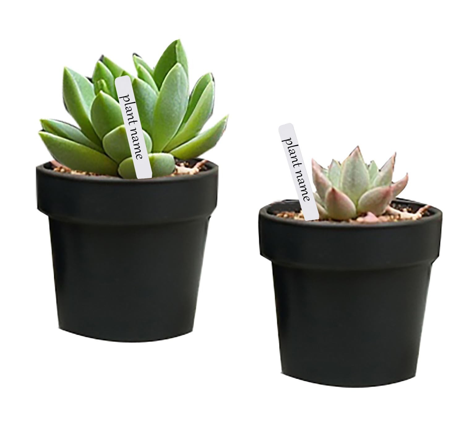 KINGSUPER 150 Pcs Plant Labels 4 Inch Plastic Name Tags 4 inch, White gallery