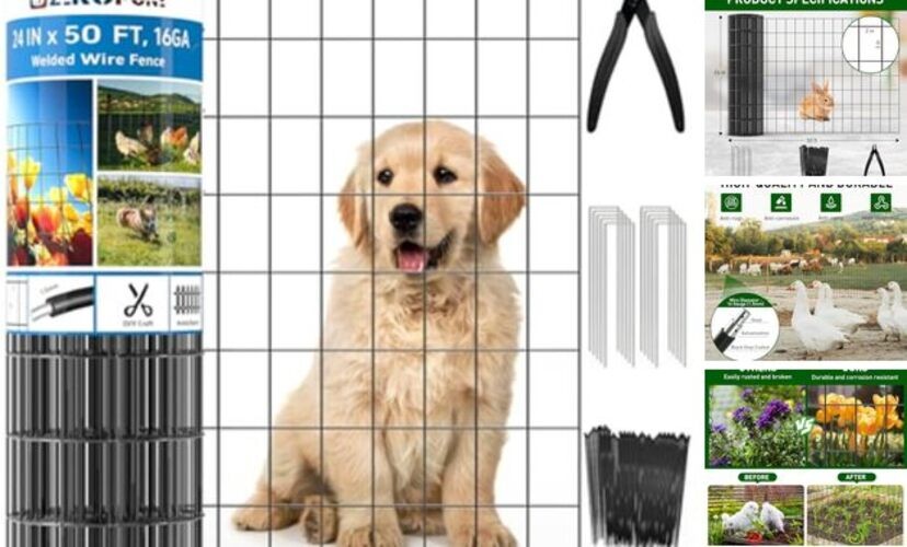 Black PVC Coated Welded Wire Fence 24 Inch x 50 Foot, 2 x 3 Inch 24in x 50ft gallery
