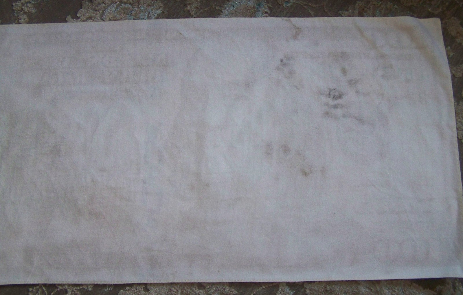 100 Dollar Bill Soft Micro Fiber Beach / Bath Towel 27" X 57" gallery