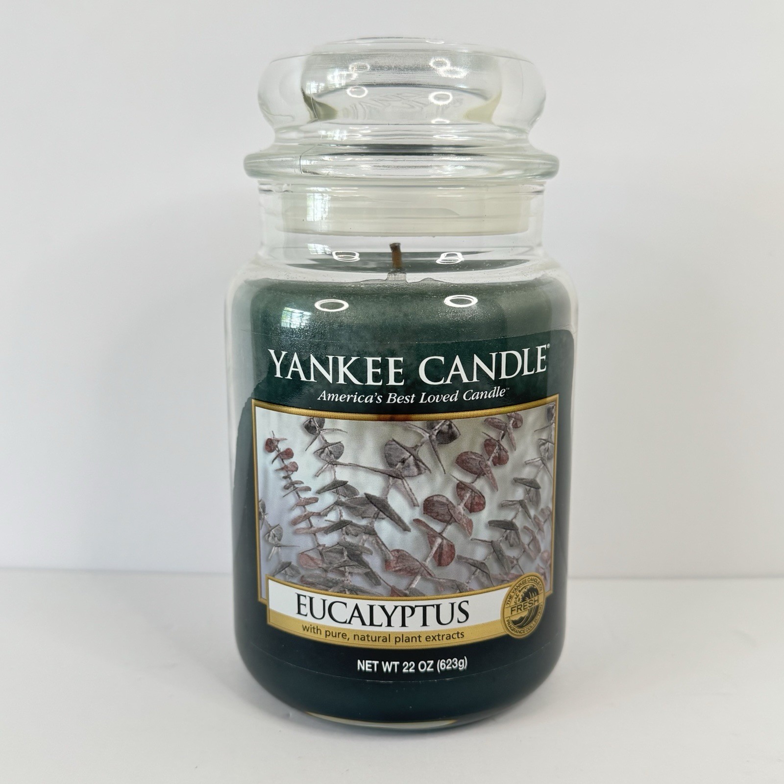 Yankee Candle Eucalyptus Large 22 oz Rare And Retired, Unlit, New Old Stock gallery