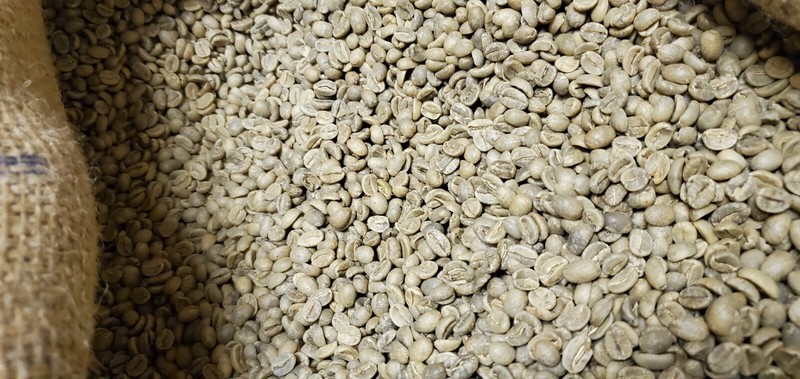 5 LB INDONESIA INDONESIAN JAVA UNROASTED GREEN COFFEE BEANS - ORGANIC ARABICA gallery