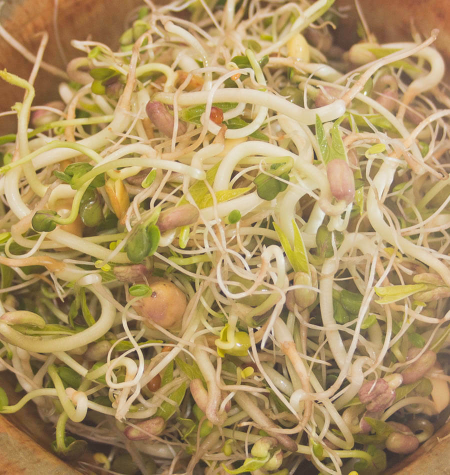 Mung Beans,Sprout-able Green Moong Frijol mongo Dry Raw, Great for making Sprout gallery