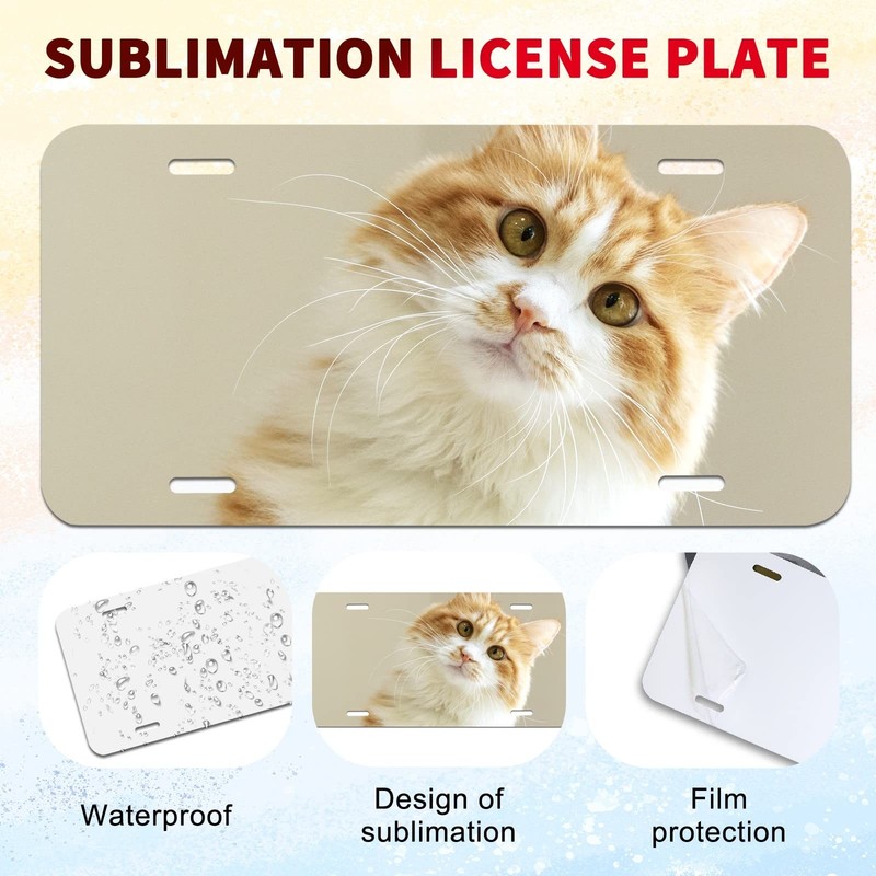 Sublimation License Plate Blanks 10 Pack Metal Plates for Custom Design gallery