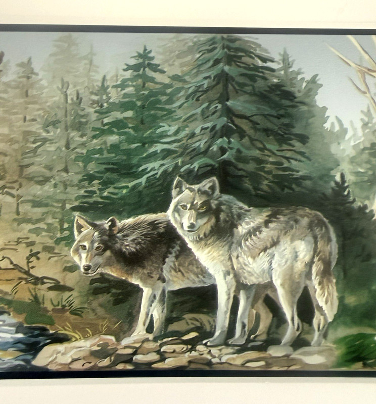 Imperial Wallpaper Border~FM8751B~Forest-Wolves-Eagle Design~Rustic~Cabin~USA gallery
