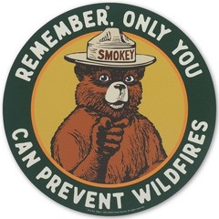Smokey Bear Only You Can Prevent Wildfires Metal Sign Vintage Forest Tin Decor
