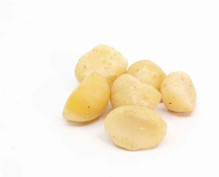 Bulk Raw Macadamia Nuts, Unsalted 25 Pound Wholesale Box gallery