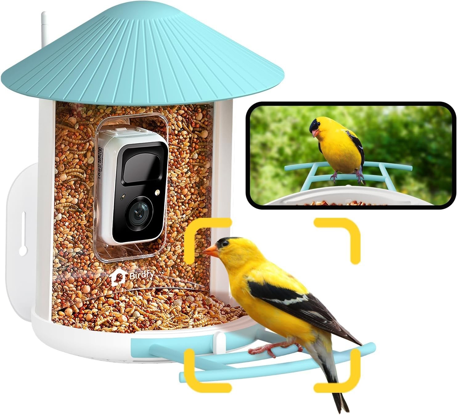 NETVUE by Birdfy Smart Bird Feeder with Camera Bird Watching Camera Auto Capture gallery