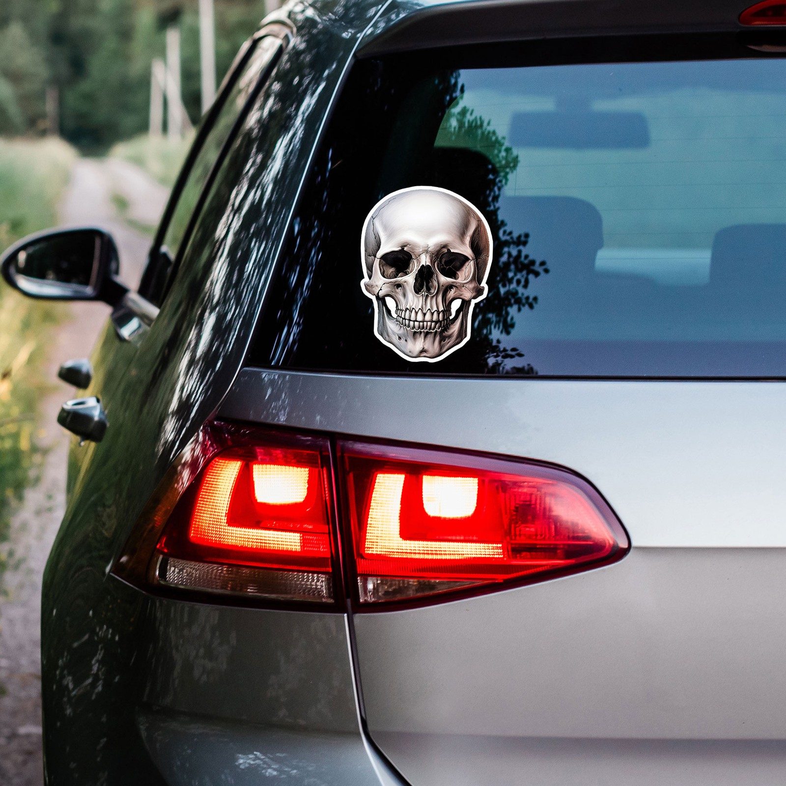 Human Skull - Vinyl Decal Sticker - Car Window Laptop - ebn9717 gallery