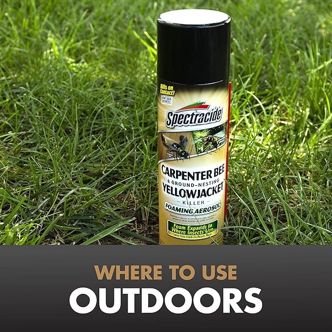 Spectracide Carpenter Bee & Nesting Yellowjacket Killer Spray 16Oz Each gallery