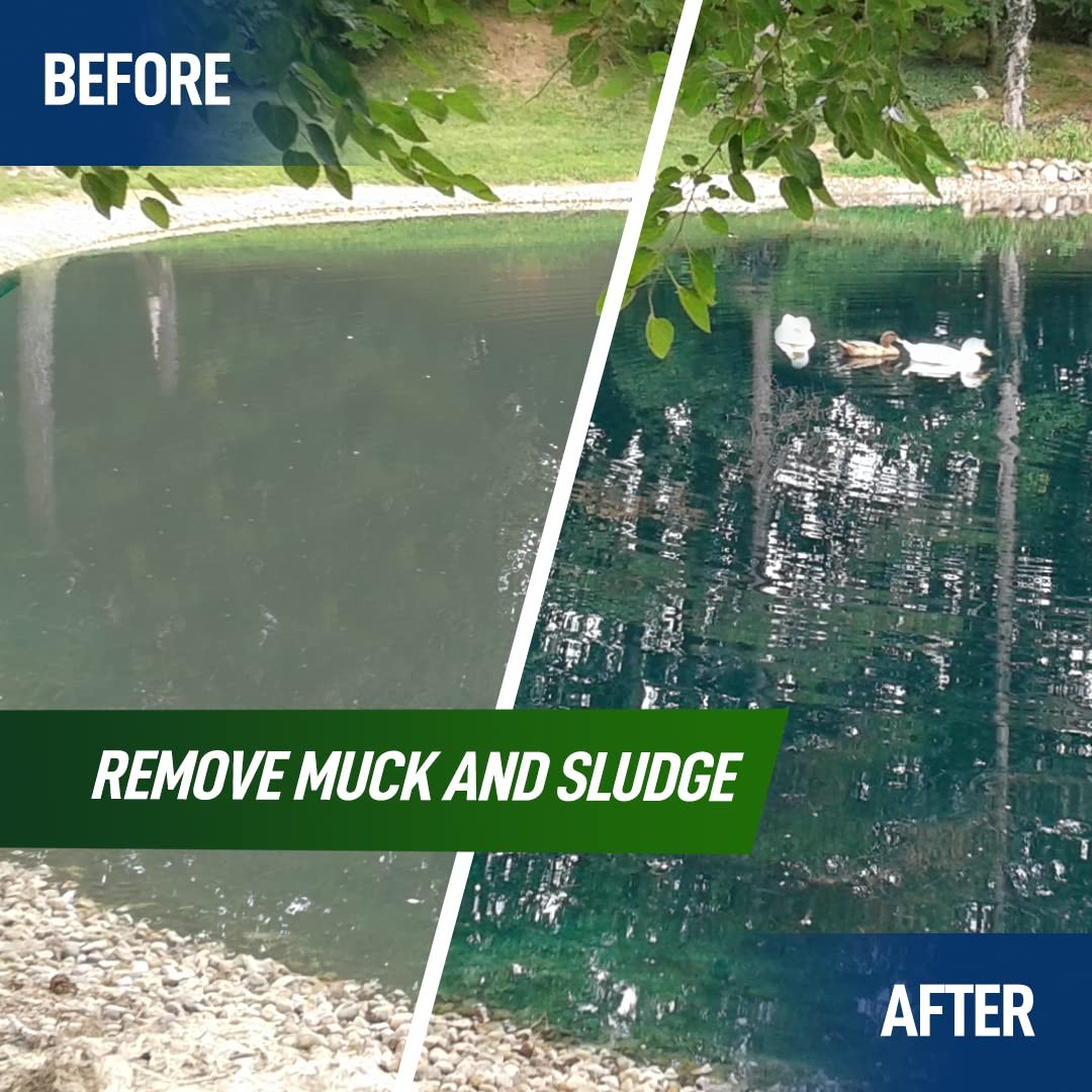 4X Pond Cleaner - Reduces Muck & Sludge for a Clean, Natural Look - Super Con... gallery