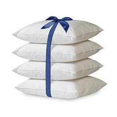2/4 Pack Hypoallergenic Down-Alternative, Throw Pillow Inserts (20″ x 20″)