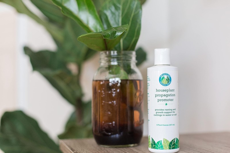 Propagation Promoter gallery