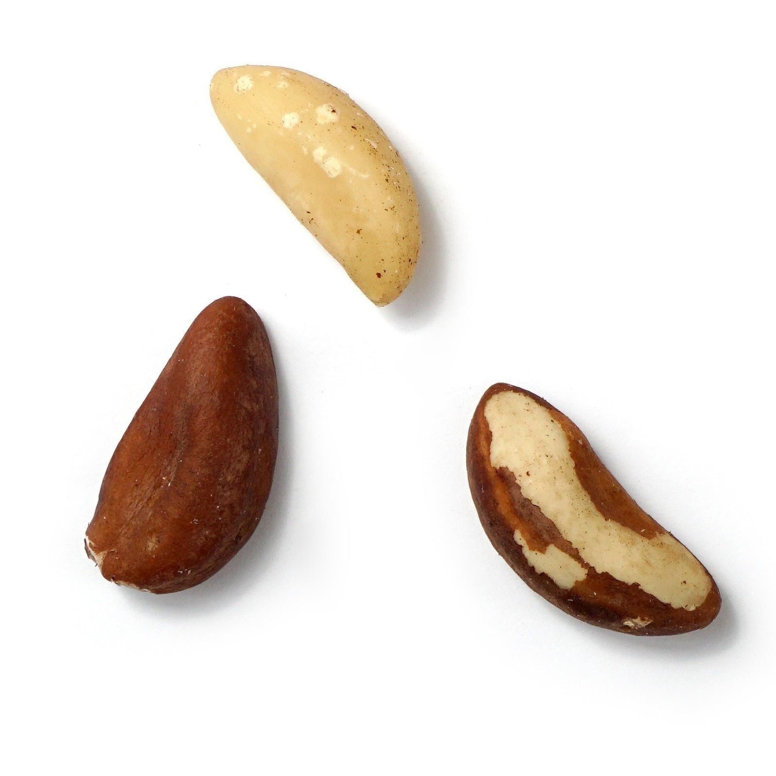 Raw Brazil Nuts, 1 Pound Bag, No Shell, Whole, Hampton Distribution gallery