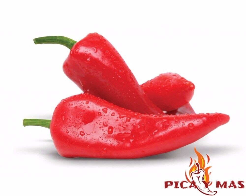 PIQUILLO PEPPER 20 SEEDS 100% GUARANTEED gallery