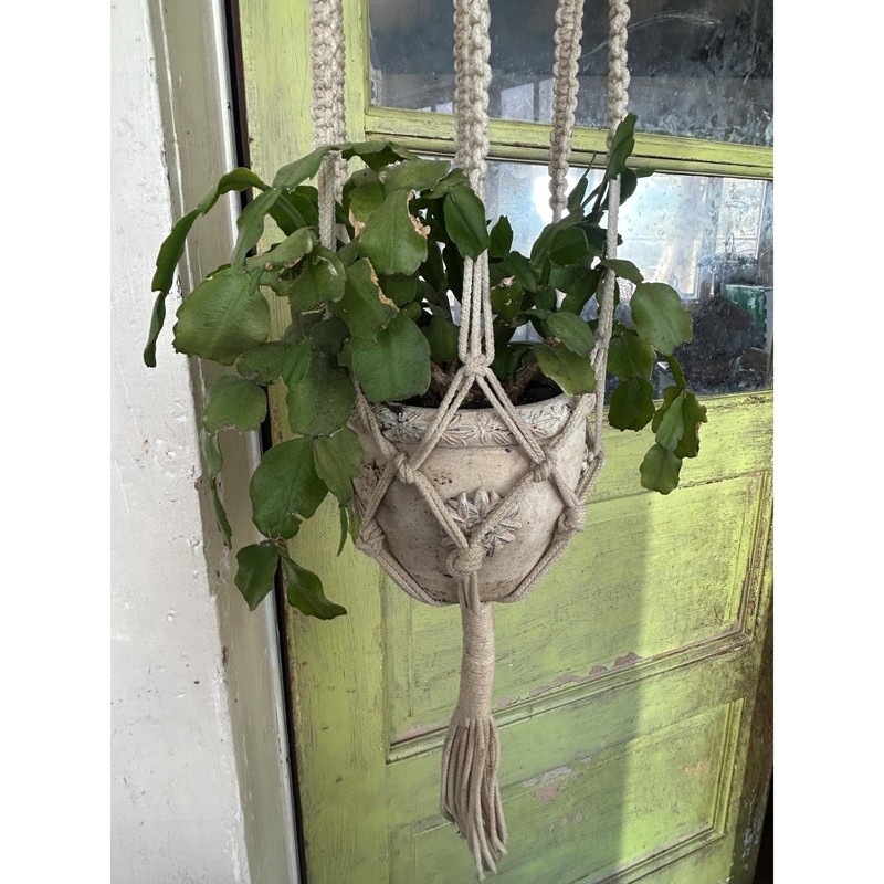 70s Macrame hanging plant holder natural rope with wood ring large wood beads gallery