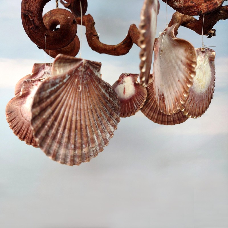 Rustic Driftwood Scallop Seashell Wind Chime (1 chime approx. 9 x 21 inches) gallery