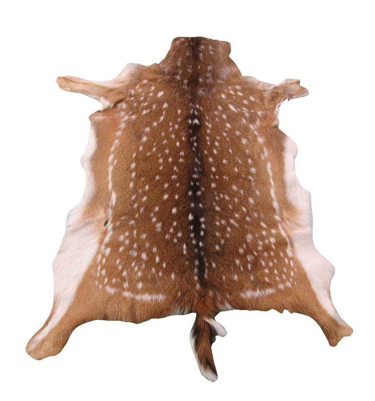 Deer Skin Axis Deer Hide Axis Deer Skin size: 39"X35" Cheetal Deer Antelope Rug gallery