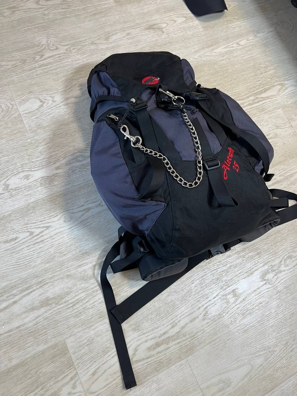MAMMUT Hiking Backpack with Frame and Back Support Aletsch 25 4