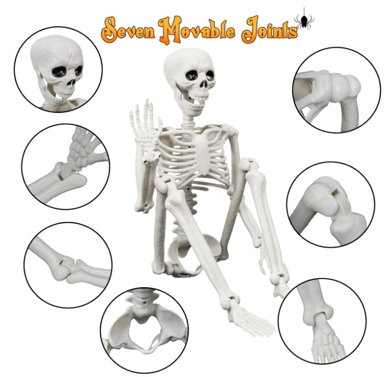 Esqueleto humano y de perro 91 cm iluminado, realista y articulado Halloween. gallery