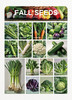 16 Varieties Fall Vegetable Seeds Over 20,000 Seeds gallery