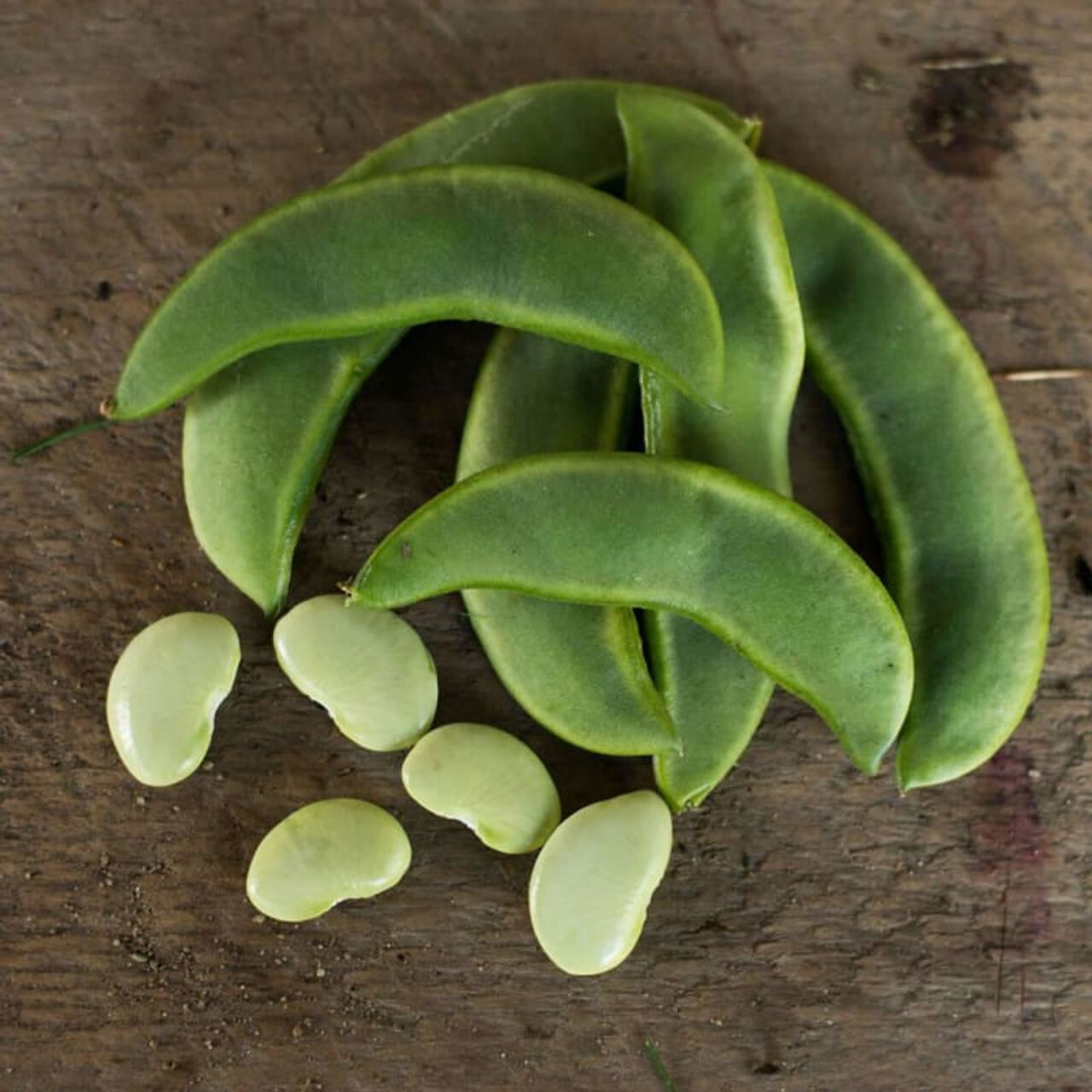 Burpee Improved Lima Bean Seeds, Butter Beans, NON-GMO, Heirloom, FREE SHIPPING gallery
