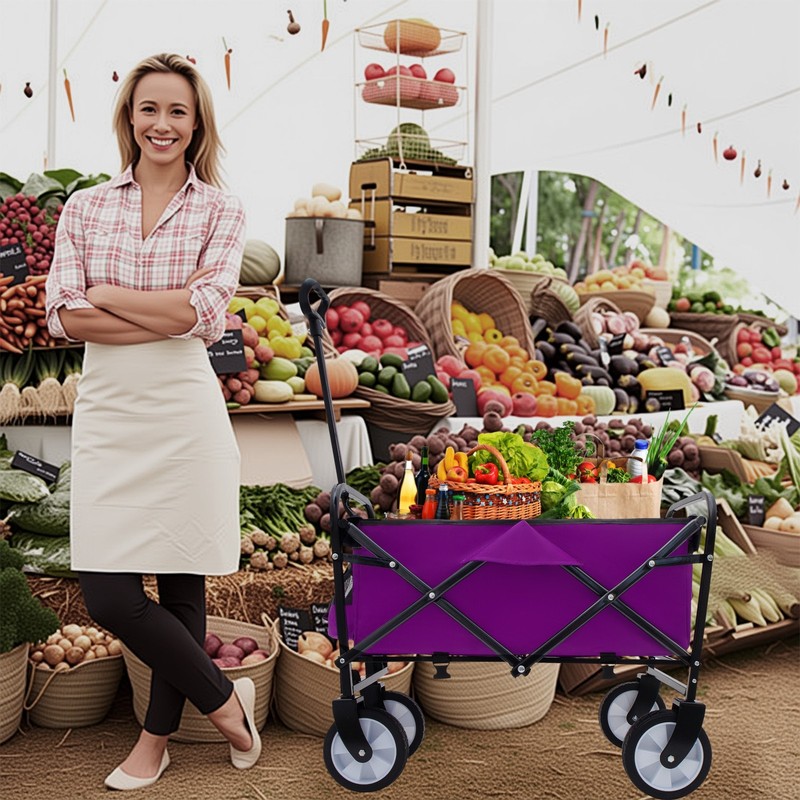 Collapsible Foldable Wagon w/ Strapping System,225lbs Utility Grocery Beach Cart gallery