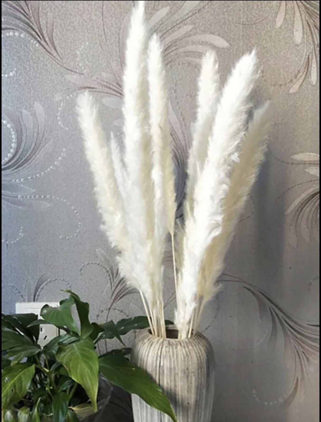 15PCS Natural Dried Pampas Grass 24 In. Reed Flower Wedding Bouquet Home Decors gallery