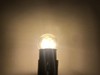 #89 Miniature Bulb LED Replacement | 12/14vdc | Dimmable | Replaces #67, 69, ... gallery