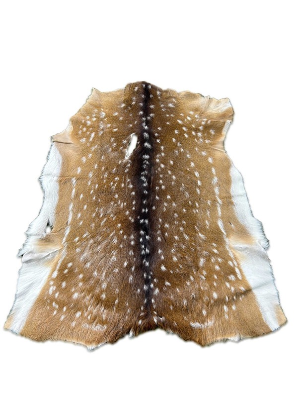 Axis Deer Skin Second Grade -Axis Deer Hide Size: 38"X30" Cheetal deer buck hide gallery