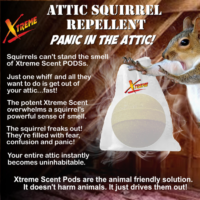 Xtreme Attic Squirrel Repellent. Drives Squirrels Out Fast! - 5 Pack gallery