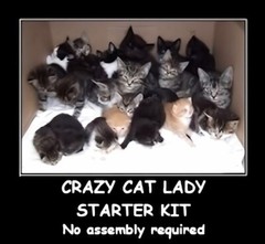 Crazy Cat Lady Starter Kit No Assembly Required Just Love Kitty Litter MAGNET