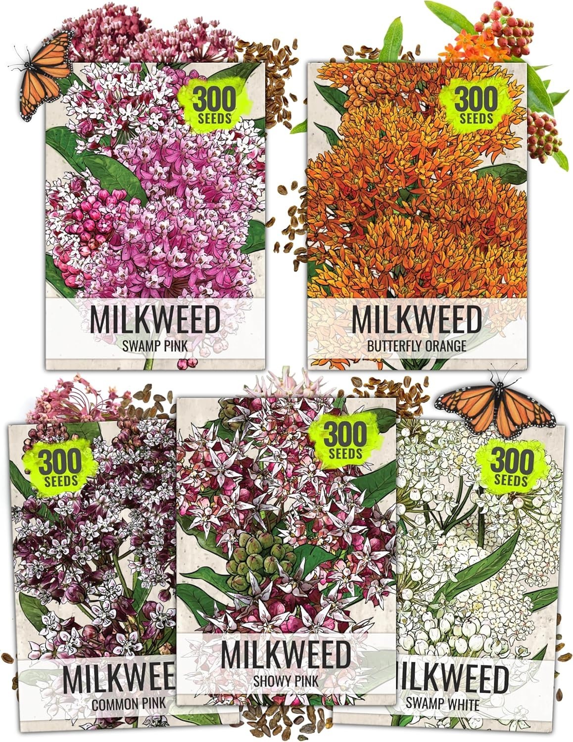 Seed Needs MEGA Milkweed Seed Packet Collection - 5 Individual Varieties gallery