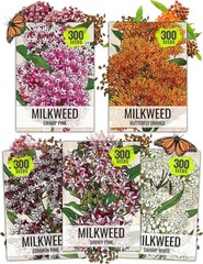 Seed Needs MEGA Milkweed Seed Packet Collection – 5 Individual Varieties
