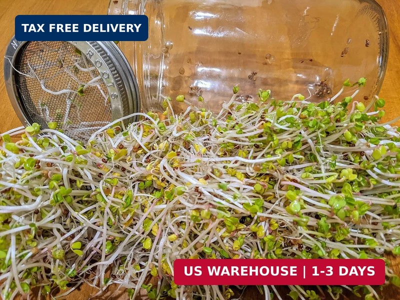 Variety Pack Sprouting Seeds Broccoli, Alfalfa, Radish, Mung beans & Salad Mix f gallery