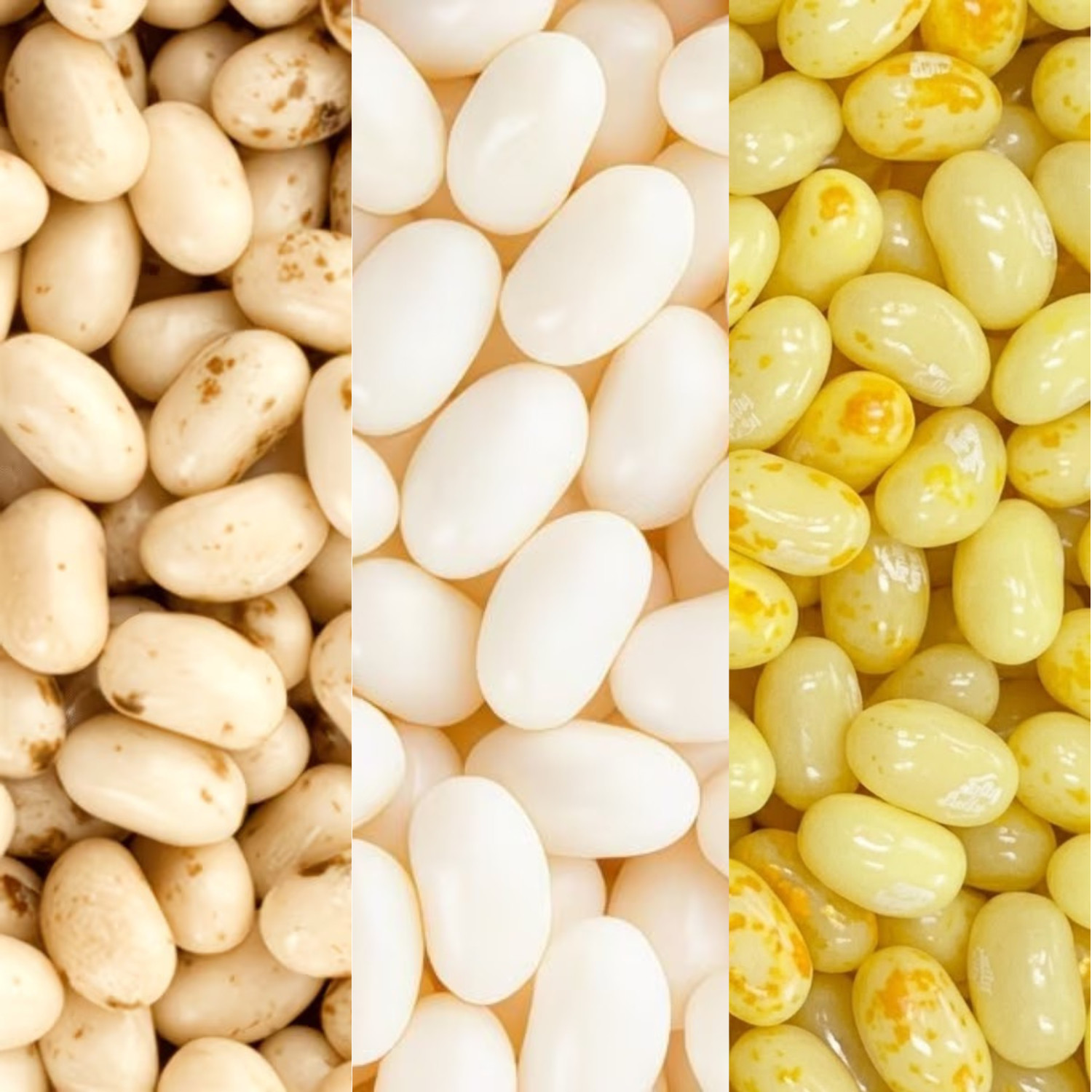 Jelly Belly Mix 1.5 / 3LB – Buttered Popcorn, Toasted Marshmallow & Coconut Mix! gallery